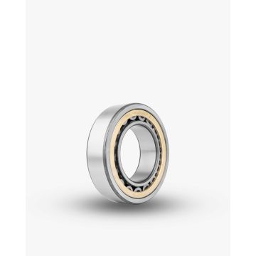 NUP310-E-MPA-C3 NUP310-E-MPA-C3